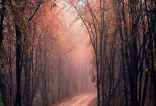 曼奇尼:罗马先考虑尤文再考虑德比战,接下来每1分都是决定性的.