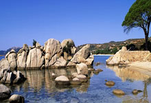 英媒:波斯特科格鲁展望热刺欧联征程,赛程与人员优势成关键.